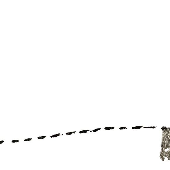 Born Nova Womens Brown Chunky Heel Comfort Shoes Booties Side Buckle Leather 6.5 - Picture 16 of 16